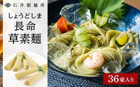【石井製麺所】しょうどしま長命草そうめん　36束