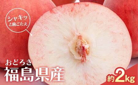 【2026年出荷分先行予約】福島県産 おどろき 約2kg (5～8玉) 農業生産法人種まきうさぎ株式会社 固め 固い 伊達の桃 桃 フルーツ 果物 もも モモ momo F20C-496