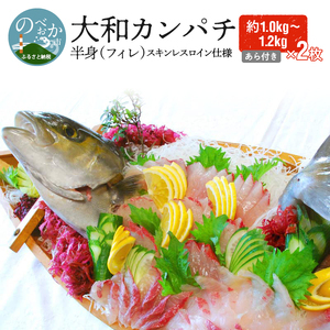 【大和ｶﾝﾊﾟﾁ】半身(ﾌｨﾚ)約1.0kg～1.2kg×2枚(ｽｷﾝﾚｽﾛｲﾝ仕様)あら付 N072-YD0193