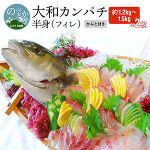 大和ｶﾝﾊﾟﾁ半身(ﾌｨﾚ)約1.2kg～1.5kg×2枚かぶと付き N072-YD0192