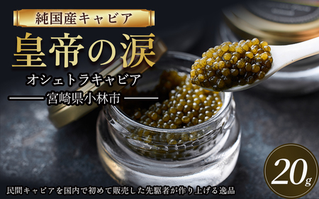【純国産キャビア】オシェトラキャビア 20g 皇帝の涙 国産 チョウザメ 魚卵 宮崎県