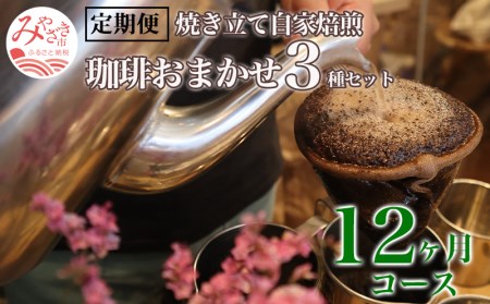 定期便 焼き立て 自家焙煎 珈琲豆 おまかせ 3種類セット 12ヶ月コース