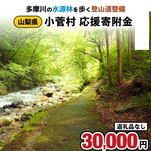 【返礼品なし】多摩川の水源林を歩く登山道整備支援金＜小菅村応援寄附金30,000円＞