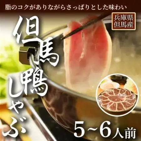 「但馬鴨」しゃぶしゃぶセット(大)5～6人前【配送不可地域：離島】【1274922】
