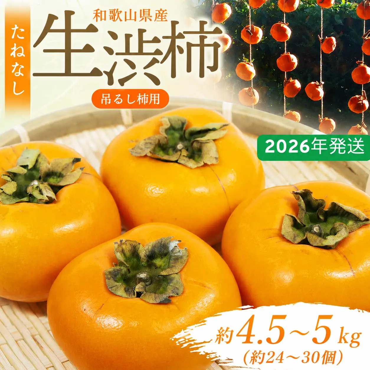 柿 吊るし柿用たね無渋柿T軸又はクリップ付紐付約4.5～5kg　約24～30個【2026年10月中旬～11月上旬ごろ順次発送】【ART13】【G212-art016B】