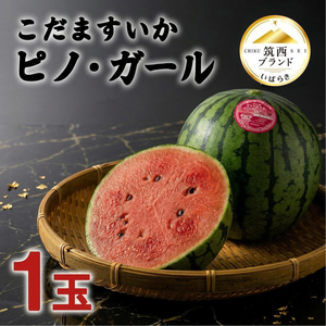 こだますいか 「 ピノ・ガール 」 1玉
