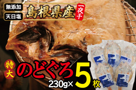 特大のどぐろ一夜干し（5枚セット）【のどぐろ 特大 干物 230g 合計1.15kg のどぐろ干物 無添加 天日塩 高級魚 ノドグロ アカムツ 一夜干し 新鮮 冷凍 真空パック 贈答 父の日 母の日】