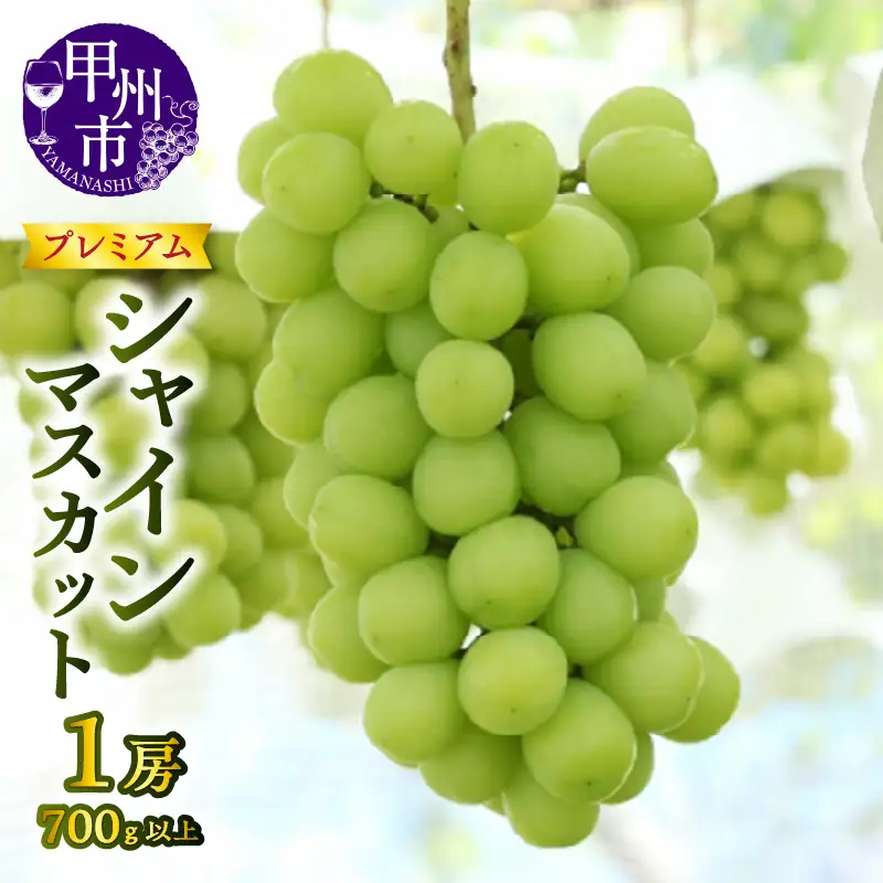 【宿沢フルーツ農園】プレミアムシャインマスカット1房（700g以上）【2026年発送】（SF）B12-145 シャインマスカット フルーツ