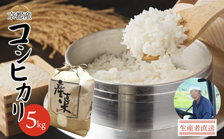【令和7年度産】 コシヒカリ 5kg 精米 白米 こしひかり お米