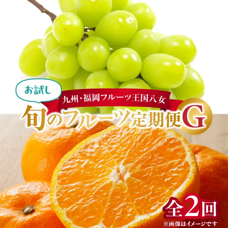 九州・福岡フルーツ王国八女 お試し旬のフルーツ定期便【全2回】G＜配送不可：北海道・沖縄・離島＞ フルーツ 定期便 ぶどう シャインマスカット みかん 蜜柑 果物 福岡県 八女市 072-T020