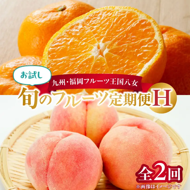 九州・福岡フルーツ王国八女 お試し旬のフルーツ定期便【全2回】H｜＜配送不可：北海道・沖縄・離島＞ フルーツ 定期便 もも 桃 みかん 蜜柑 果物 福岡県 八女市 072-T021