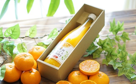 三ヶ日みかんジュース「浜名湖まるごと純粋搾り」720ml 1本【静岡 三ヶ日 みかん ジュース】 果汁飲料 野菜飲料 フレッシュ 