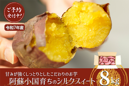 【下巣畑農産】令和7年産 熟成 シルクスィート 8kg さつま芋 唐芋 長期貯蔵 産地直送 まとめ買い 九州産 熊本産 小国産 地場産 スイーツ 蜜芋 贈答 ご家庭用 焼き芋 スィートポテト 高糖度 GAP認証 6次産業認定 認定農家
