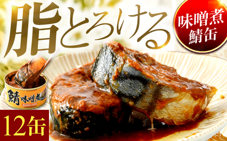 鯖味噌煮缶詰12缶 / さば缶 [BFAB026]