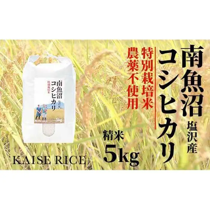 【令和7年産】【定期便】南魚沼産塩沢コシヒカリ【従来品種】（農薬不使用）精米５ｋｇ×全３回