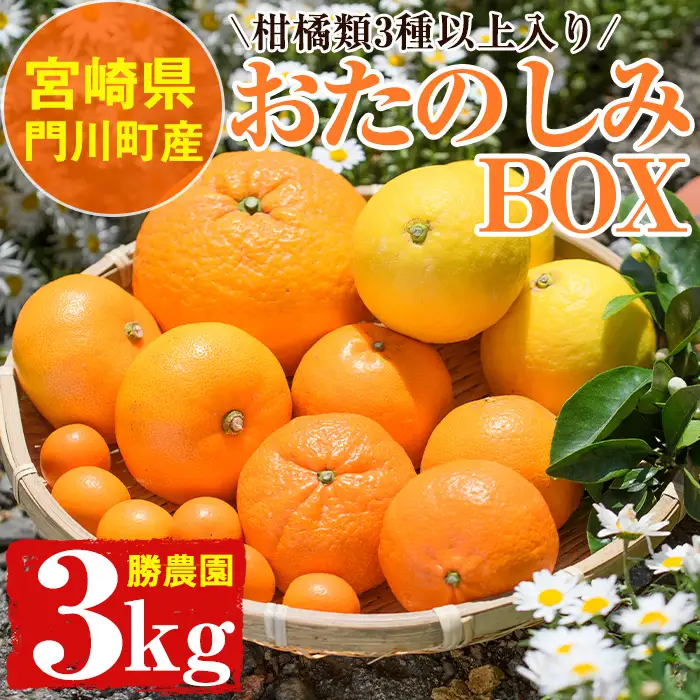 柑橘類おたのしみBOX(約3kg・3種類以上) 柑橘 果物 数量限定 期間限定 国産 フルーツ 詰め合わせ セット 遠見半島 宮崎県 門川町 【AE-22】【勝農園】
