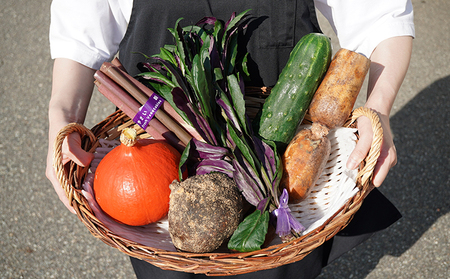 加賀の野菜おまかせ便 セット 詰合せ