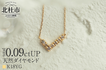 K18 天然ダイヤモンド　WING　ネックレス【K18YG】 ネックレス ダイヤ YG K18 天然ダイヤモンド WING 鑑別書付 保証書付 ジュエリーケース付 プレゼント [h170]