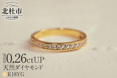 K18 0.26ctUP 天然ダイヤモンド　ハーフエタニティリング リング ダイヤモンド 指輪 アクセサリー K18 0.26ctUP 天然ダイヤモンド ハーフエタニティリング 鑑別書付 保証書付 ジュエリーケース付 プレゼント [h170]