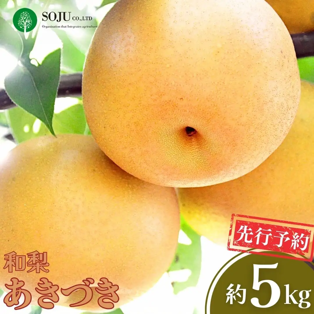 先行予約 あきづき 約5kg 令和8年 和梨 新潟県産 三条果樹専門家集団