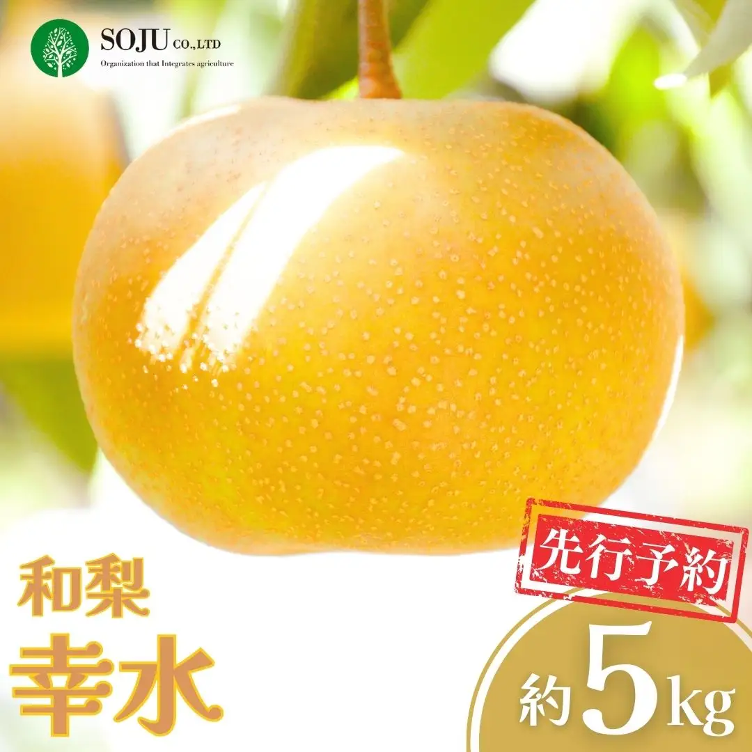 【2026年先行予約】 幸水 約5kg 和梨 新潟県 三条果樹専門家集団