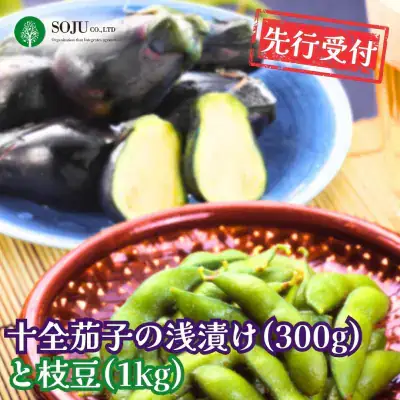 先行予約 十全茄子の浅漬け(300g)と枝豆(1kg) 令和8年度 新潟県 三条市産 なす 漬物 [三条果樹専門家集団]