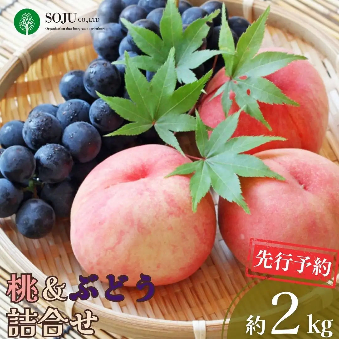 先行予約 季節の桃&ぶどう詰合せ 約2kg 令和8年度 桃（日の出 あかつき なつっこ 川中島白桃 あきぞら 白根白桃 黄金桃） ぶどう（巨峰 シャインマスカット ロザリオビアンコ セキレイ） 贈答用 新潟県 三条市産 [三条果樹専門家集団]【016P042】