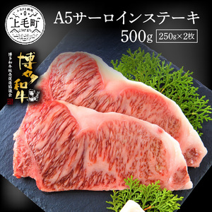 博多和牛A5サーロインステーキ【厳選部位】500g（250g×2枚）_KMP0203