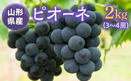 《先行予約 2026年度発送》ピオーネ2kg(3～4房) ぶどう ブドウ 葡萄 デザート フルーツ 果物 くだもの 果実 食品 山形県 FSY-0526