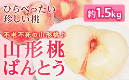 《先行予約》不老不死の山形県産桃♪山形県産桃ばんとう1.5kg もも モモ 桃 デザート フルーツ 果物 くだもの 果実 食品 山形県 FSY-0427