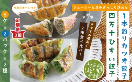 26-1026．【3回定期便】家(うち)に来る“高知” ジューシーな具をぎっしり詰めた手づくり!!　四万十ひすい餃子・一本釣りかつお餃子（8ヶ×2パック×2種）・たれ付き　にんにく不使用！