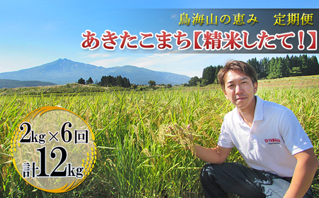 【新米先行予約 11月以降順次発送予定】《定期便 6か月》2kg×6ヶ月 鳥海山の恵み！秋田県産 あきたこまち ひの米（精米）【令和8年度産 白米 秋田 にかほ】