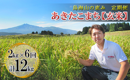 【新米先行予約 11月以降順次発送予定】 《定期便 6か月》2kg×6ヶ月 鳥海山の恵み！秋田県産 あきたこまち ひの米（玄米）【令和8年度産 玄米 秋田 にかほ】