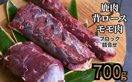 森のジビエ  鹿肉 ブロック おまかせ詰合せ700g以上 A-JJ-A15A