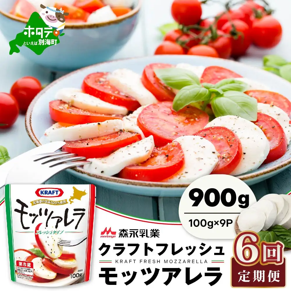 【定期便】森永乳業 モッツァレラチーズ 計900g(100g×9P)×6ヵ月【全6回】チーズ 北海道 別海町