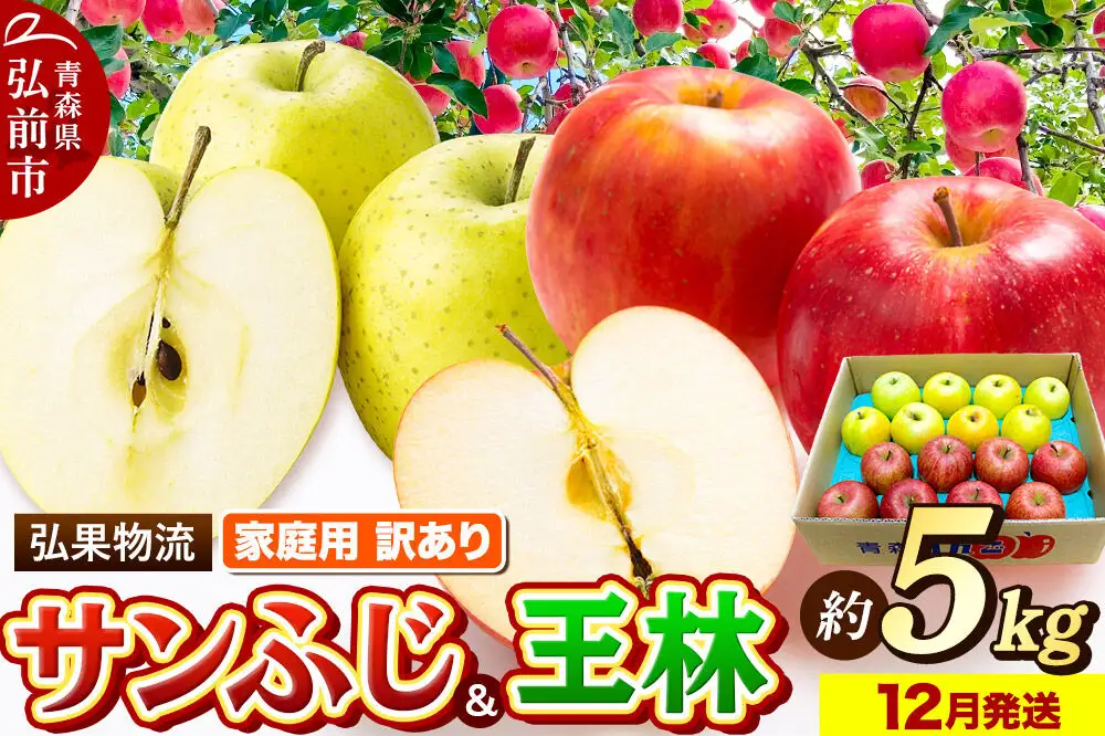 【26年12月発送】りんご 家庭用 訳あり サンふじ・王林 詰め合わせ 約5kg