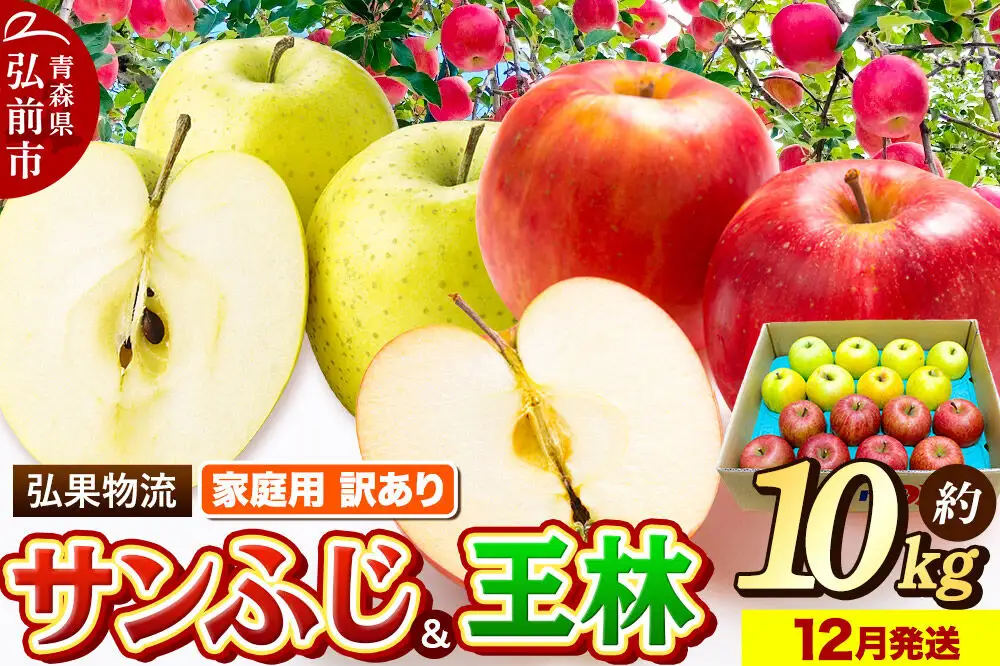 【26年12月発送】りんご 家庭用 訳あり サンふじ・王林 詰め合わせ 約10kg