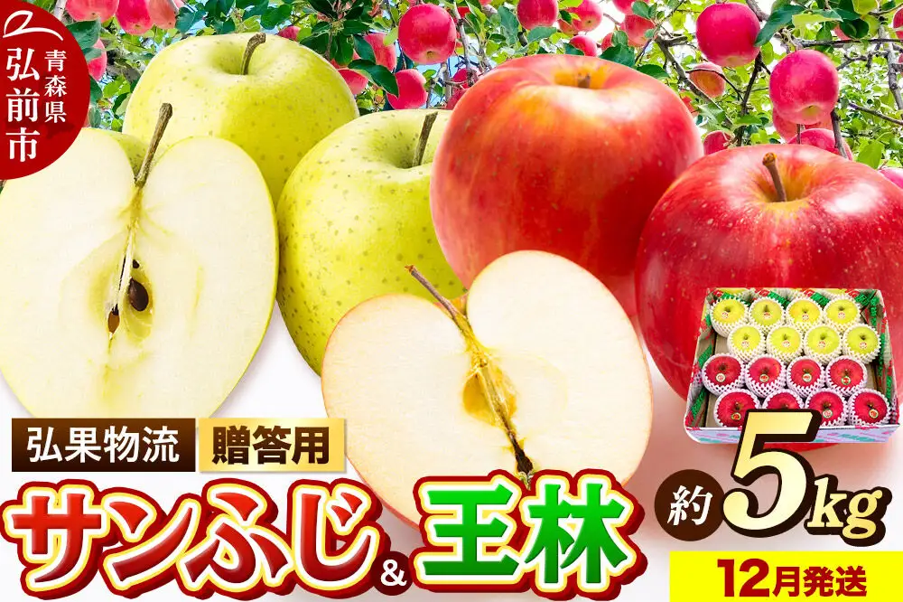 【26年12月発送】りんご 贈答用 サンふじ・王林 詰め合わせ 約5kg
