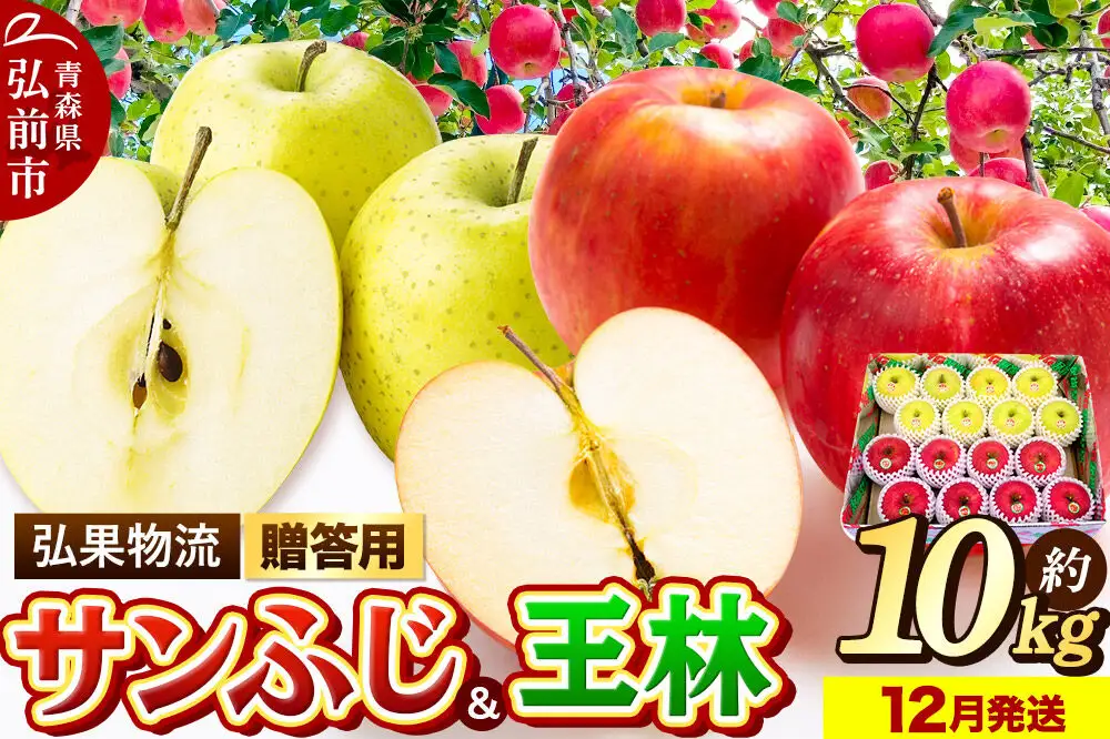 【26年12月発送】りんご 贈答用 サンふじ・王林 詰め合わせ 約10kg