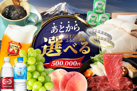 あとからセレクト【ふるさとギフト】５０万円 コーヒー あんこ ヘアケア 天然水 炭酸水 ふとん 布団 餃子 ふじやまビール シャインマスカット 桃 シチズン ジュエリー