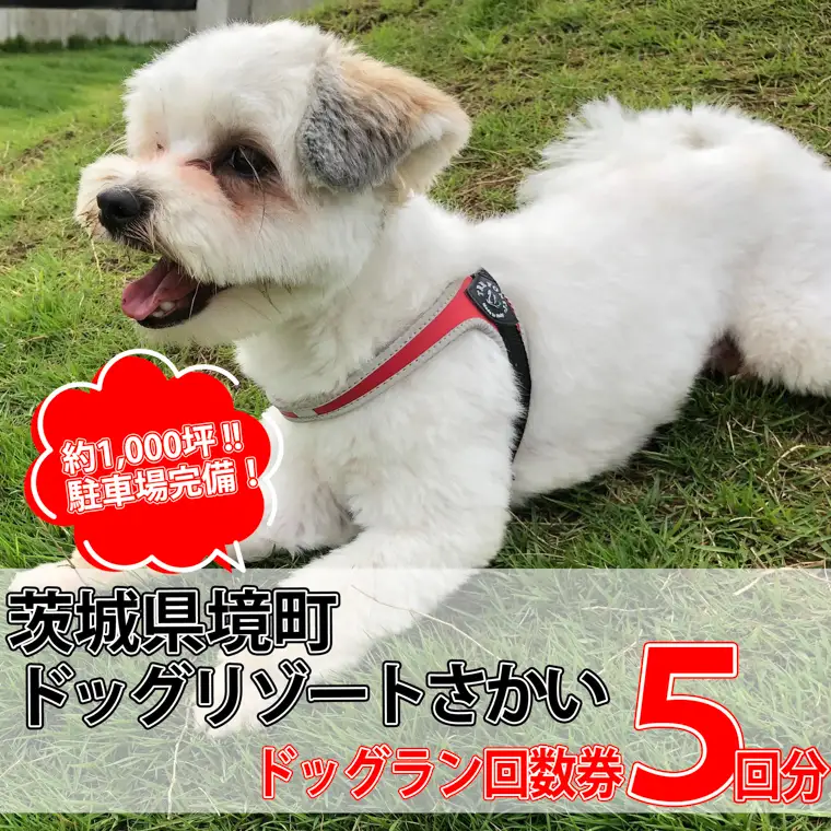 K1913 茨城県境町 広々1000坪！ ドッグラン 回数券（５回分）１回分お得！