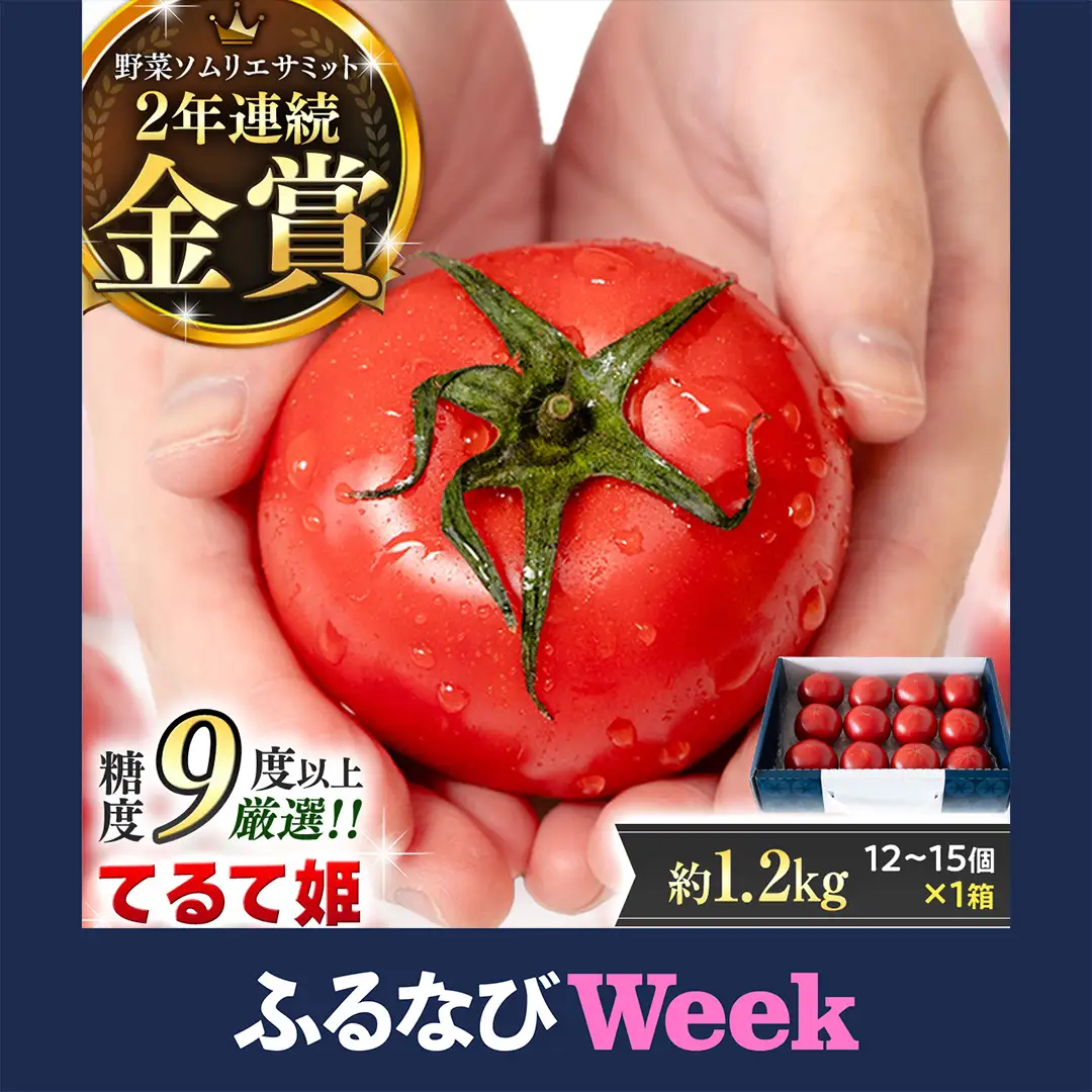 【ふるなびWEEK対象】糖度9度以上 スーパーフルーツトマト てるて姫 中箱 約1.2kg × 1箱 【12～15玉/1箱】  [BC033sa]