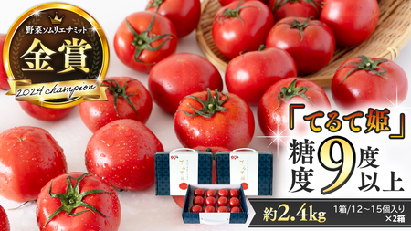 《 テレビで紹介 》【 2026年収穫分 先行予約 】 糖度9度以上 スーパーフルーツトマト てるて姫 中箱 約1.2kg × 2箱 【12?15玉/1箱】   [BC034sa]