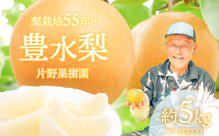 豊水梨 約5kg 09月下旬発送  梨 先行受付