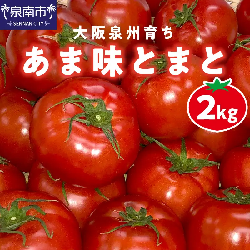 大阪泉州育ち あま味とまと 2kg 野菜 トマト 生鮮 フルーツトマト 夏野菜 食料品 水耕栽培 中玉 ふるさと納税 人気 新鮮【051D-009】