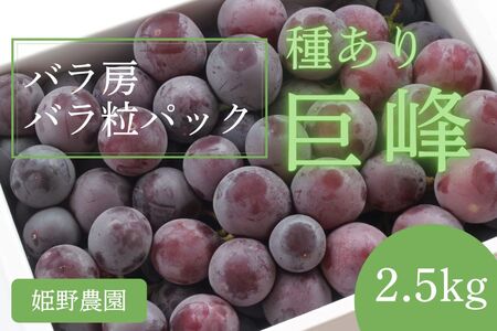 【2026年先行予約】訳あり巨峰 バラ房・バラ粒パック 約2.5kg 姫野農園 | 巨峰