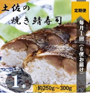 【定期便】土佐の焼きサバ寿司（１本×６回発送）７切れ 総量約250g～300g 【J00008】