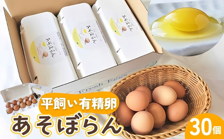 卵 平飼い有精卵 あそぼらん 30個 卵 たまご【asit0001A】