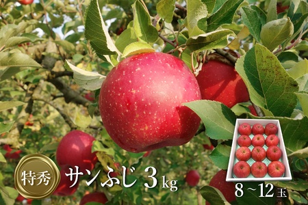【2026年発送】「特秀」サンふじりんご3kg_H137(R8)
