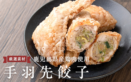 A0-293 手羽先餃子 (10本)【一番鶏】